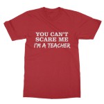 I'm a teacher